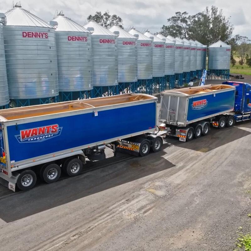 Wants Transport Lusty EMS tipper trailers